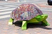 Черепаха полигональная